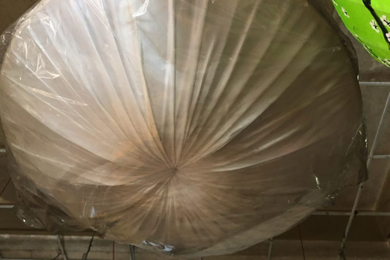 mua đèn lồng Đà Nẵng — LongDenViet xưởng Tân Phú TP.HCM