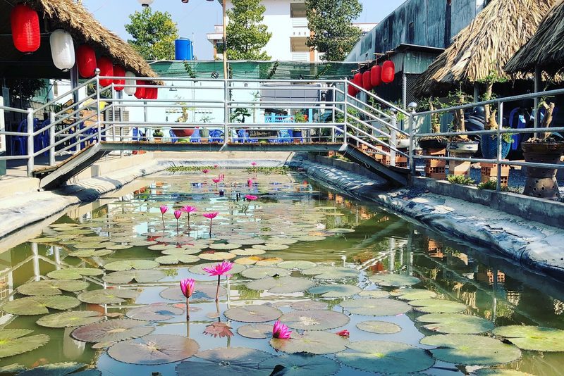 các loại đèn lồng Nhật Bản — LongDenViet xưởng Tân Phú TP.HCM