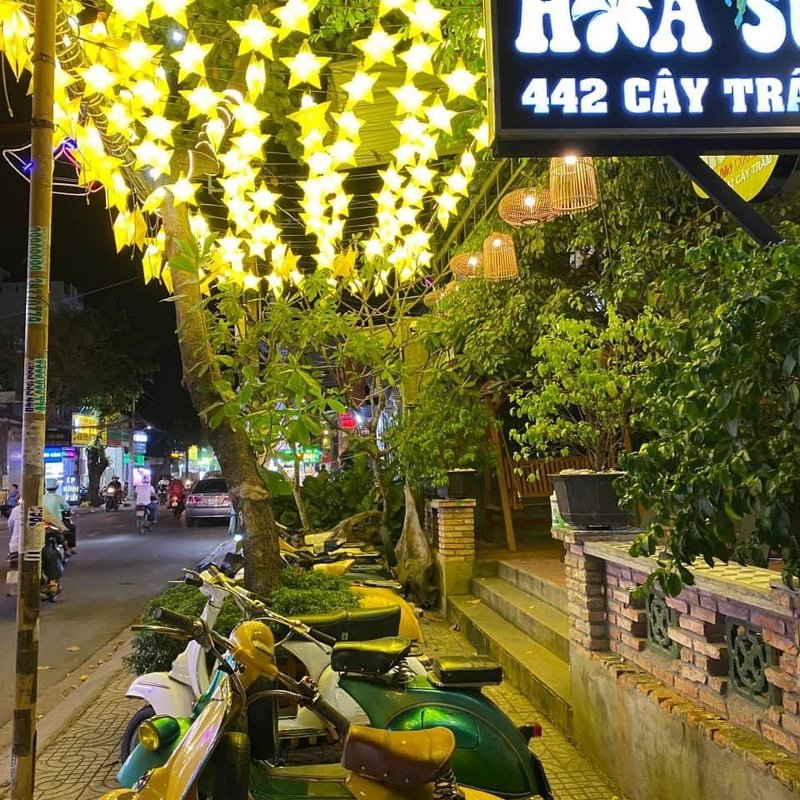 Đèn Lồng Nhựa Xuyên Sáng Trang Trí Sân Vườn — đèn nhựa xuyên sáng Hội An | LongDenViet